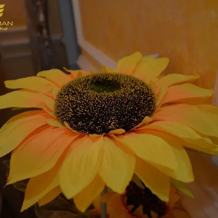 Apartmán Spa Apartman Banja Luka